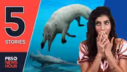A 4-legged whale, China limits gaming | 5 STORIES