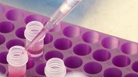 Video thumbnail: KLRN SciTech Now May 24, 2018 | Race to find Ebola vaccine