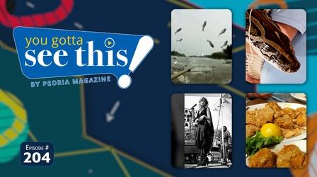 Video thumbnail: You Gotta See This! By Peoria Magazine Asian Carp | Snake Moving Day | Peoria Music Scene | Copi