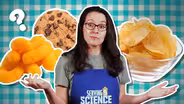 How Junk Food Hijacks Your Brain | Serving Up Science