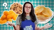 How Junk Food Hijacks Your Brain | Serving Up Science