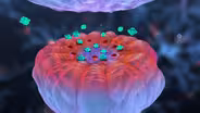 The Science of Opioid Addiction and Treatment