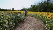 Fresh Look at Farming - Wynn Farms