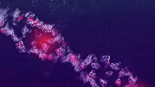 Living with Autoimmune Disease - Preview