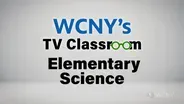 Elementary Science 101
