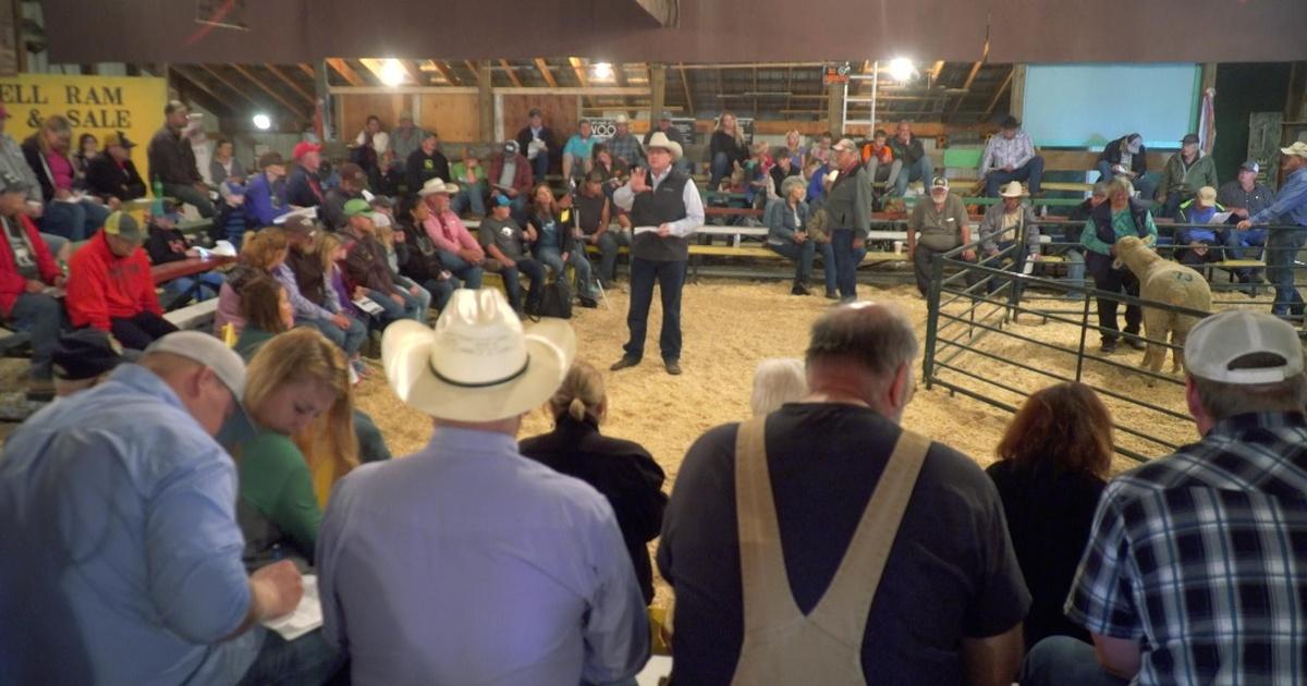 South Dakota Public Broadcasting Newell Ram Sale PBS