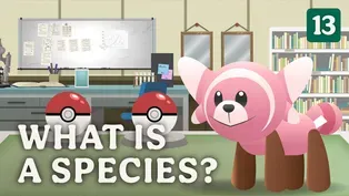 What is a Species?