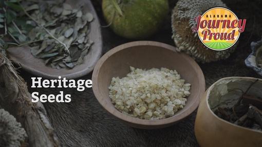 Journey Proud : Heritage Seeds
