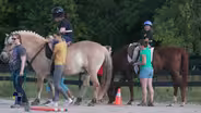 Angela heads to the stables at LifeStriders.