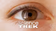 Five Senses: Most Important Sense
