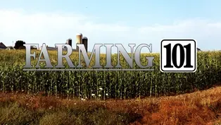 Farming 101