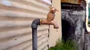 In South Africa, water shortages are a fact of daily life