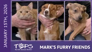 1/15/2026 | Gidget, Hammy and Brown Sugar | Mark's Furry Friends