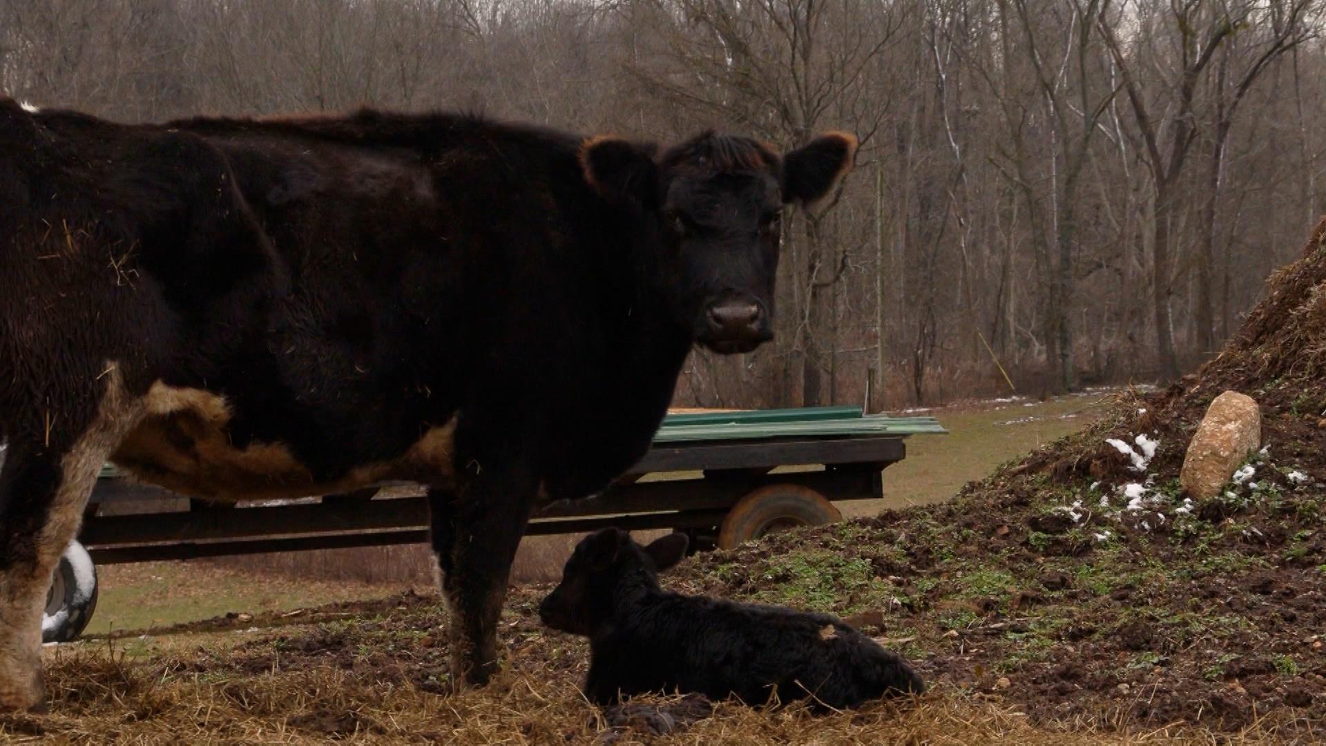 Lingering Effects of Flooding Impacting Farmers