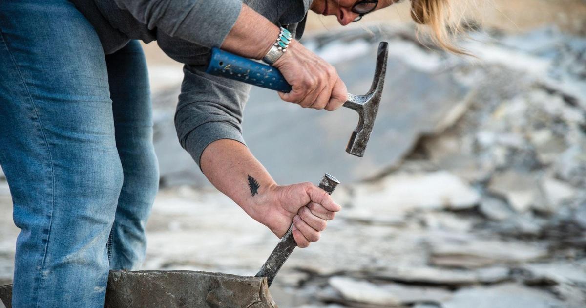 Fossil Country Pbs