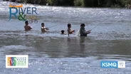 The Root River