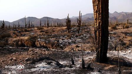 Video thumbnail: Arizona 360 Telegraph Fire; water shortages; mandating vaccines