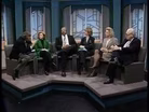 Panel