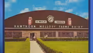 Ask Geoffrey: The Hawthorn Mellody Dairy Farm
