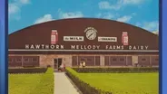 Ask Geoffrey: The Hawthorn Mellody Dairy Farm