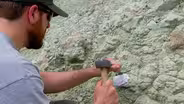 Recent Discoveries at the John Day Fossil Beds