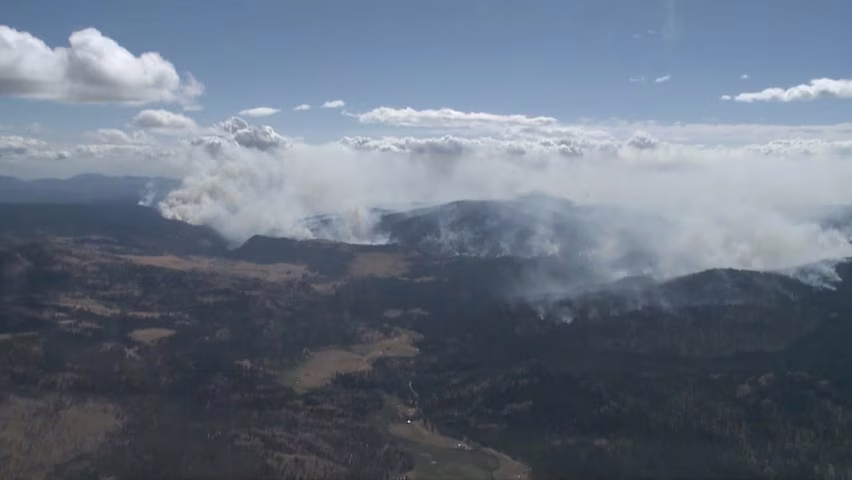 Northwest Now Digital First