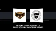 Schenck Wolverines vs Saint Dominic Academy Saints Boys Class D State Championship