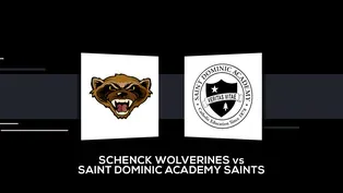 Schenck Wolverines vs Saint Dominic Academy Saints Boys Class D State Championship