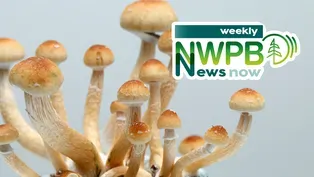 4. Psilocybin Mushrooms, Invasive Mussels, Highway 12 Project: February 7, 2025