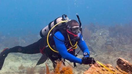 Video thumbnail: PBS NewsHour Black scuba divers explore the wreckage of slave ships