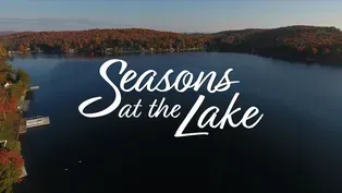 Seasons at the Lake