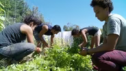 Chasing the Dream: Equitable Food Systems