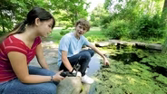 Landscape Arboretum | Curious About Michigan