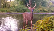 Youth Deer Hunt, Youth Deer Camp, Bragging Board