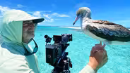 The Making of "Sharks of Hawaii"