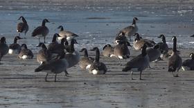 Video thumbnail: Prairie Sportsman A Conservation Legacy