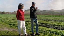 Diversified Farms – Harvesting Health: asset-mezzanine-16x9