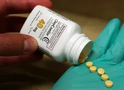 Purdue Pharma family protected from lawsuits in settlement
