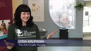 Animal Shelters in Need of Space Plead with Public to Foster