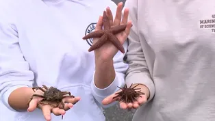 Middle schoolers become marine scientists for a day