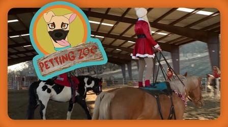 Video thumbnail: NewsDepth Petting Zoo: Razzle-Dazzle Horses