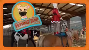Petting Zoo: Razzle-Dazzle Horses