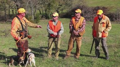 Kentucky Afield, Creek Fishing; Food Sources; Rabbit Season, Season 39, Episode 46