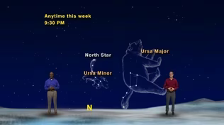 “Two Bears and Two Dogs” January 14 - January 20th 1 Min