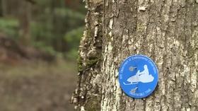 Video thumbnail: New York NOW Adirondack Overuse