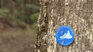 Adirondack Overuse