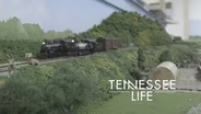 Tennessee Life - 901 - Bells & Whistles