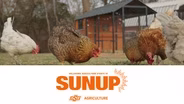 SUNUP-March 7, 2026