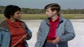 Barrier Island - Edisto Island (1980): asset-mezzanine-16x9