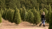 Mike's Farm